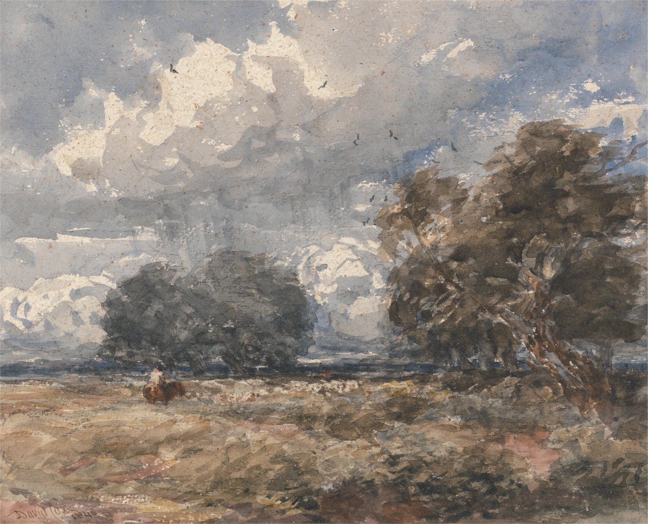 Pastoreando el rebaño, día ventoso de David Cox