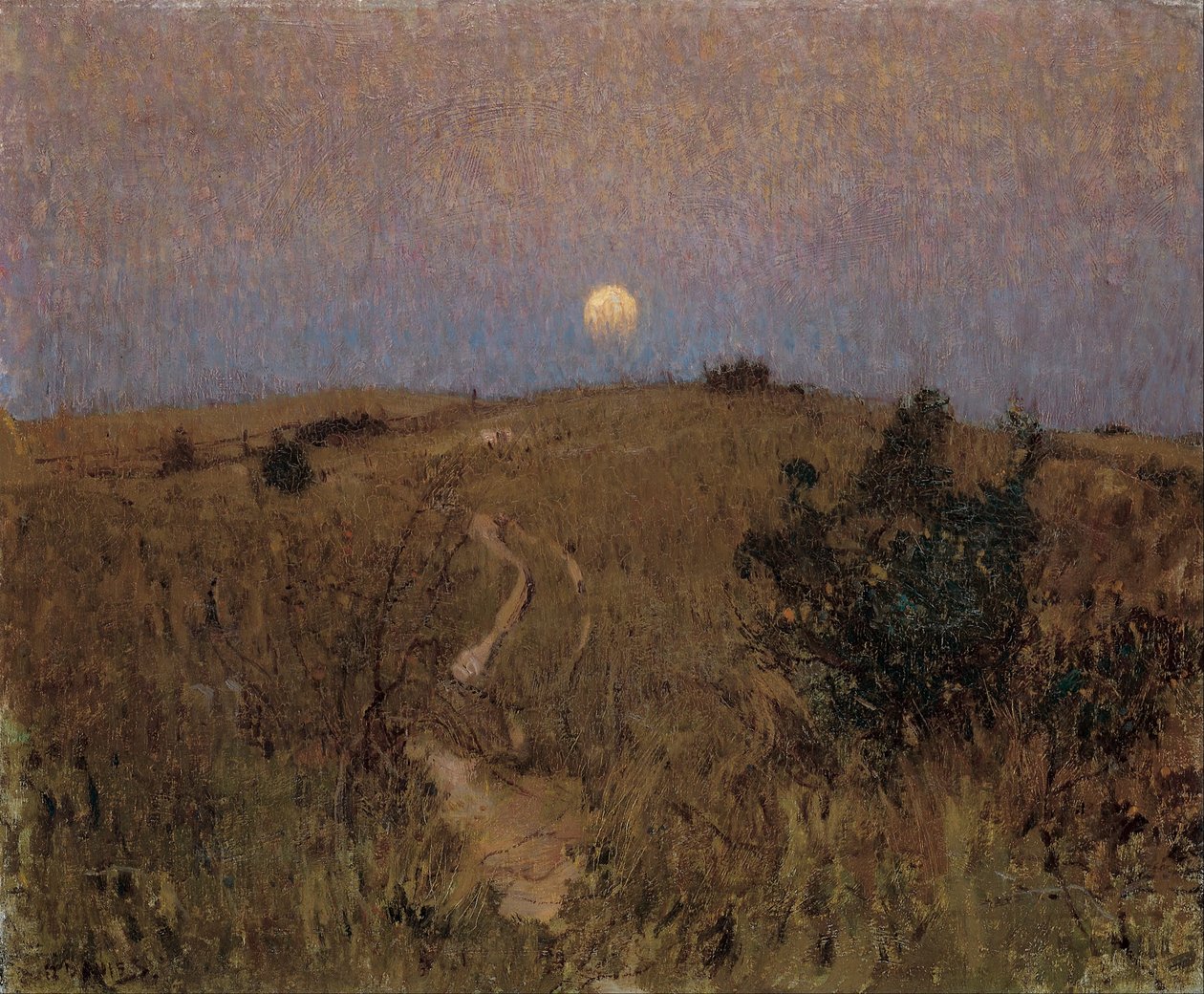 Salida de la luna de David Davies