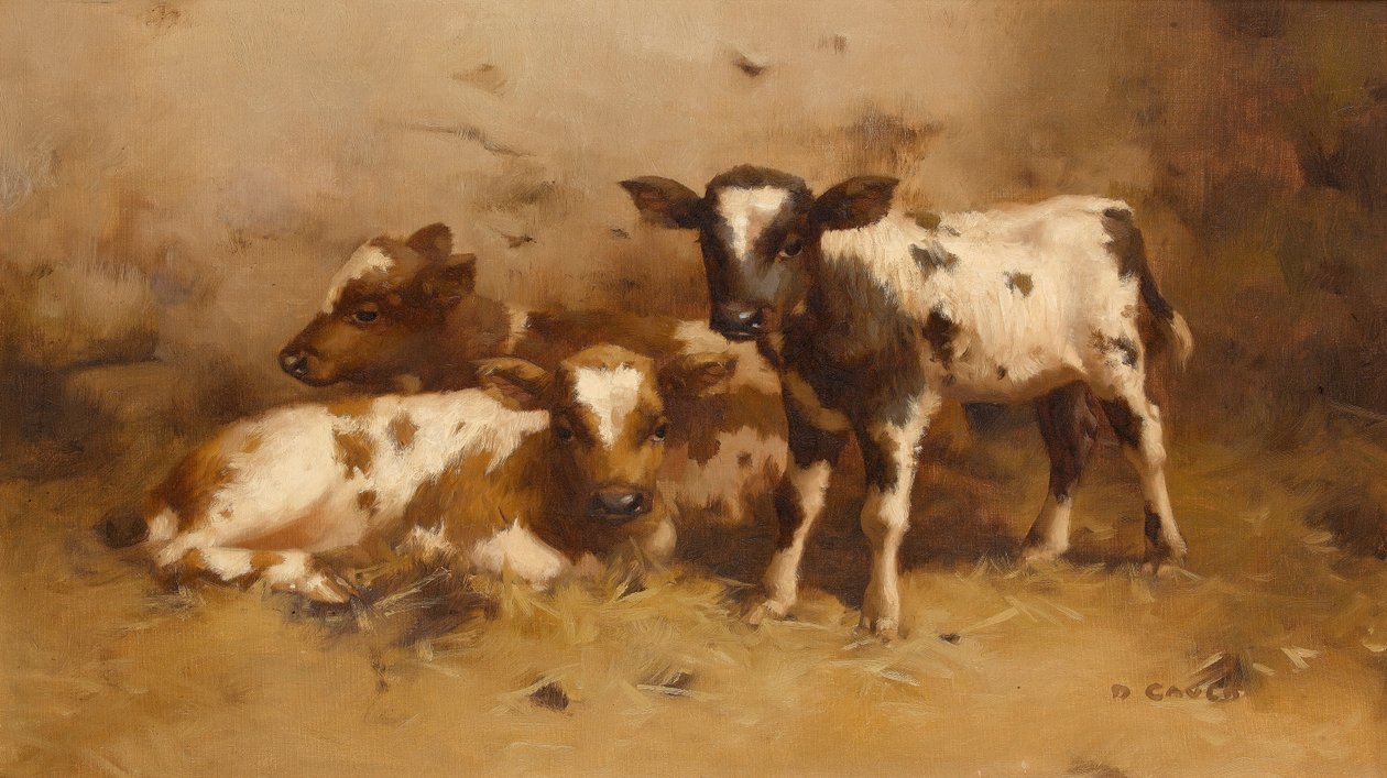 Tres terneros en un establo de David Gauld