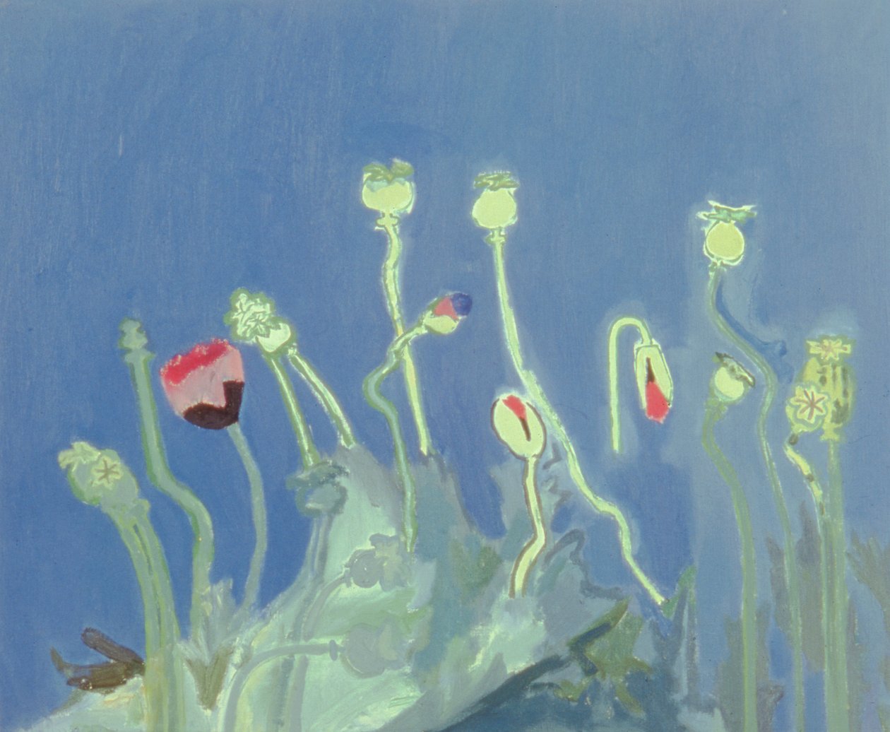 Poppyheads (óleo sobre lienzo) de David Alan Redpath Michie