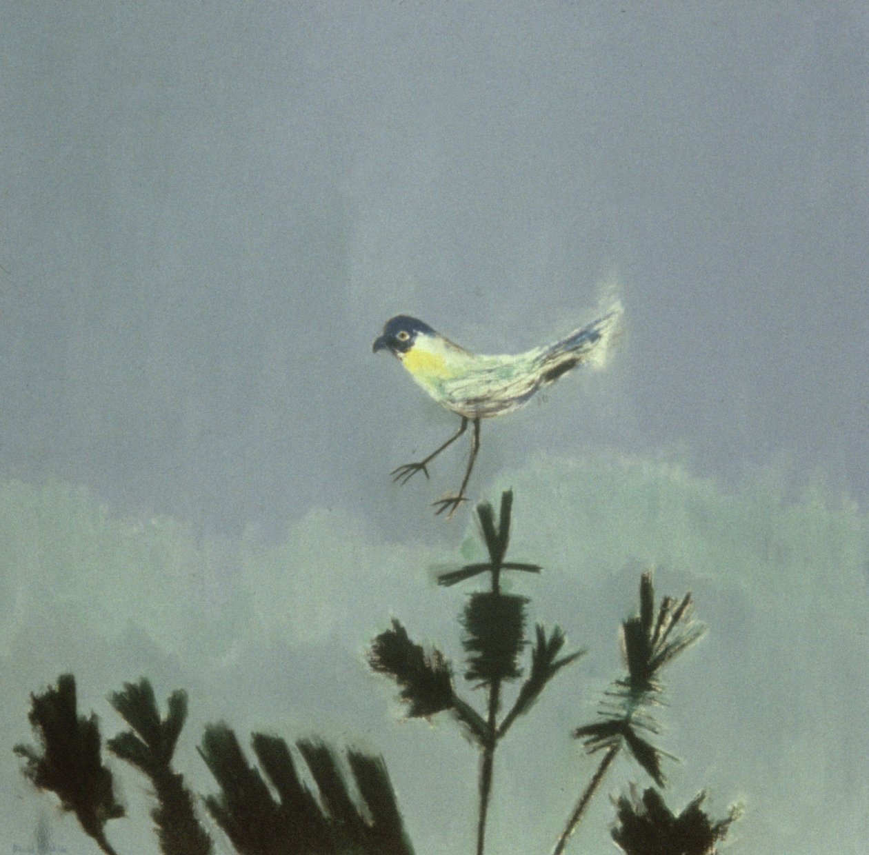 Extraño pájaro posado de David Alan Redpath Michie