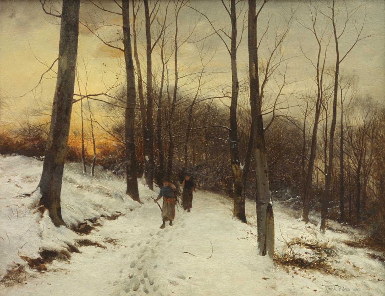 Bosques de Malvern de David Bates