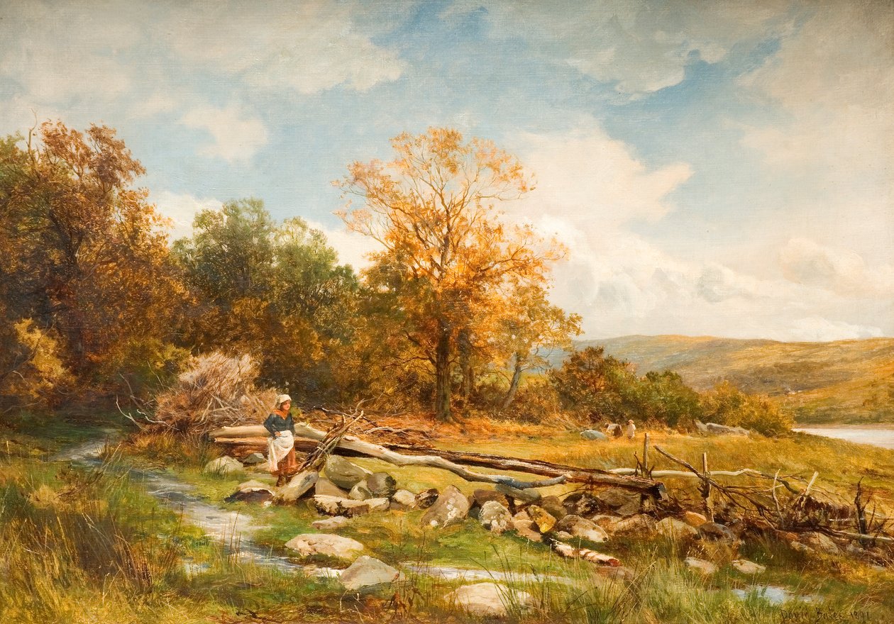 Valla de marea en el río Conwy en Bachlediog, 1891 de David Bates