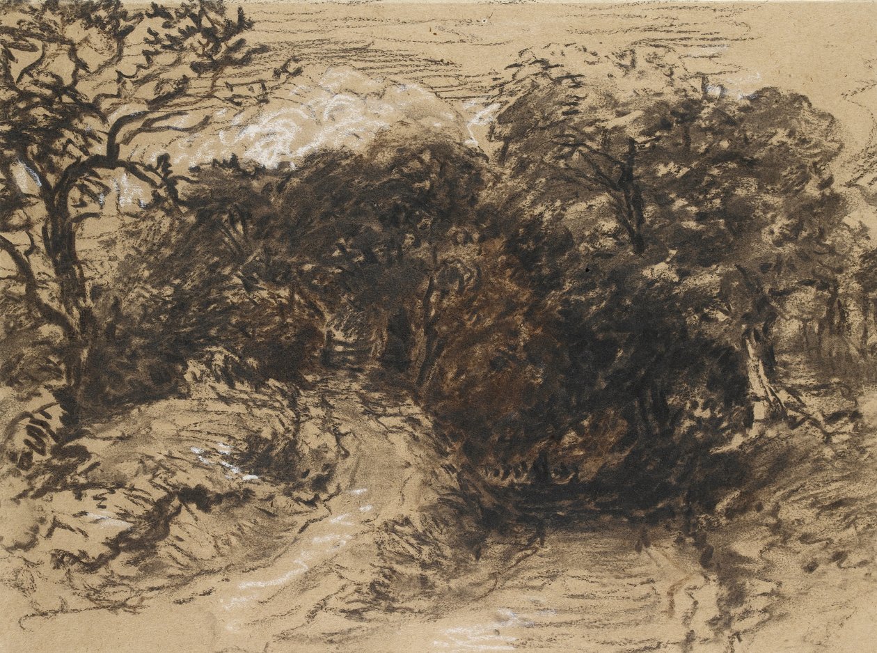 Un Camino Hueco cerca de Harborne, Derbyshire de David Cox