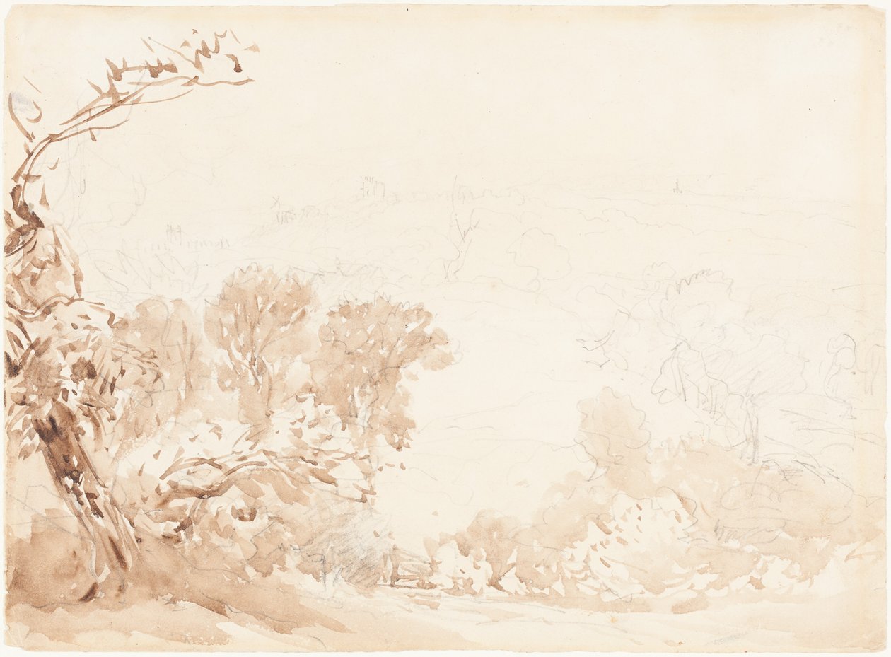 Ladera y árboles de David Cox