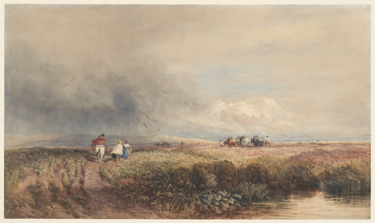 Viaje de regreso a casa de David Cox