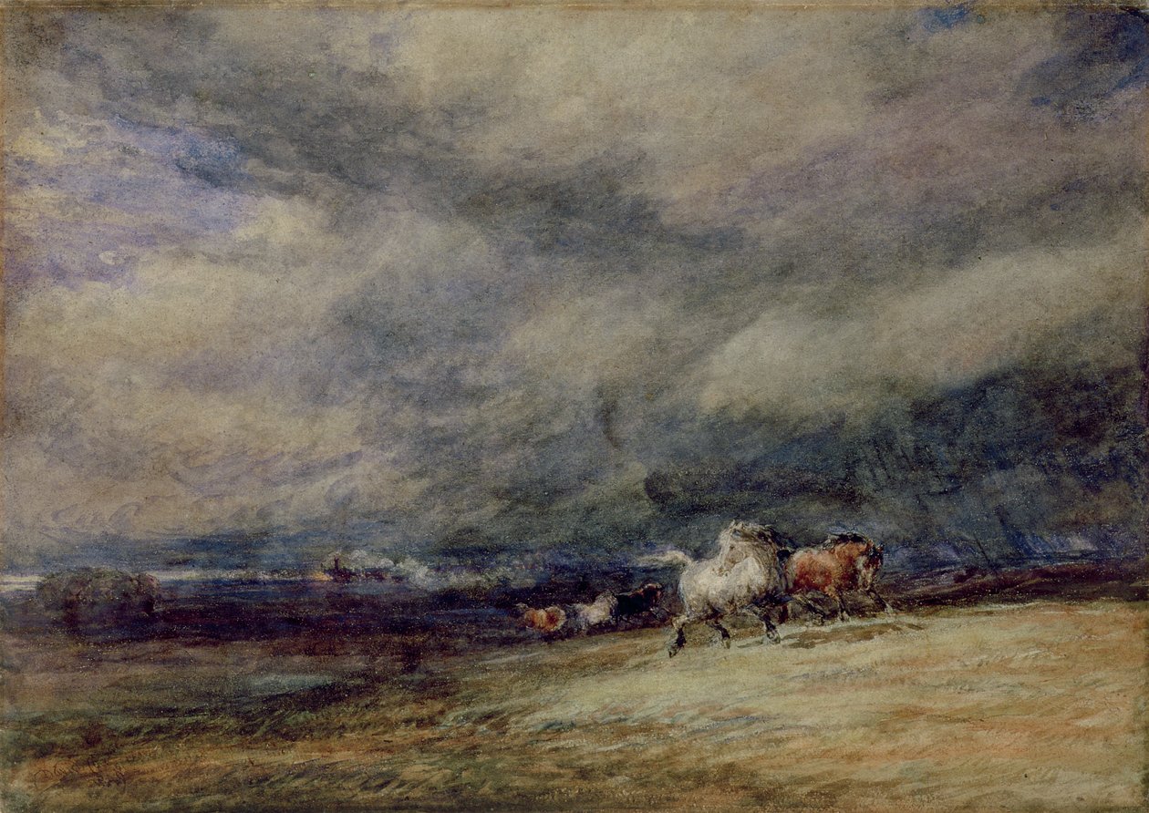 El tren nocturno de David Cox