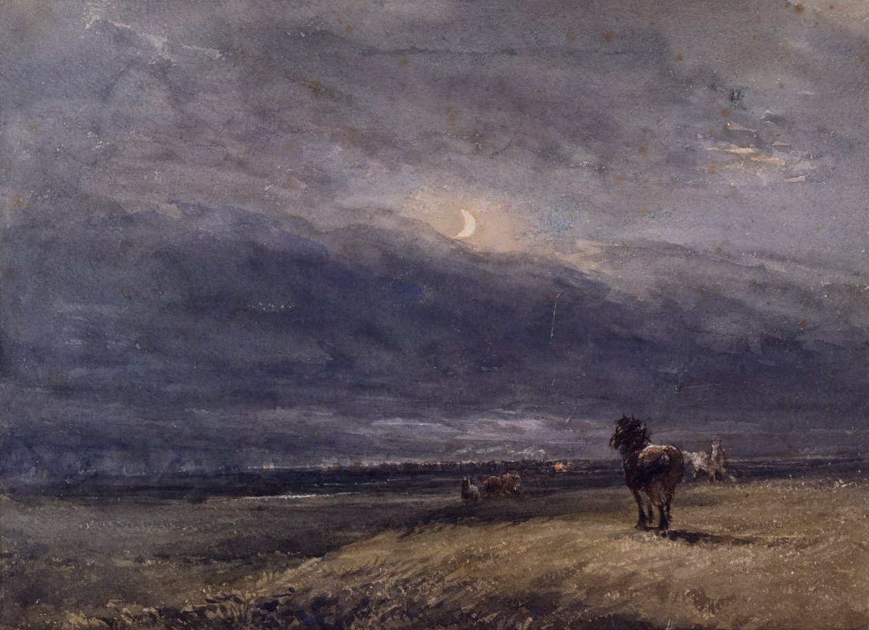 El tren nocturno de David Cox