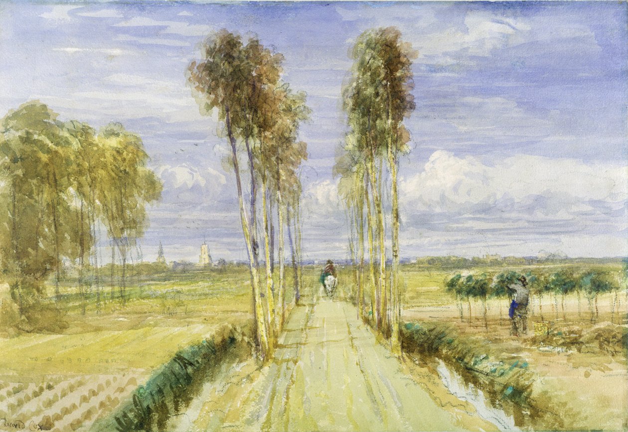 La Avenida de los Álamos de David Cox