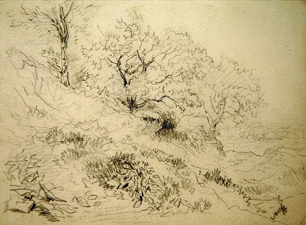 Paisaje galés de David Cox
