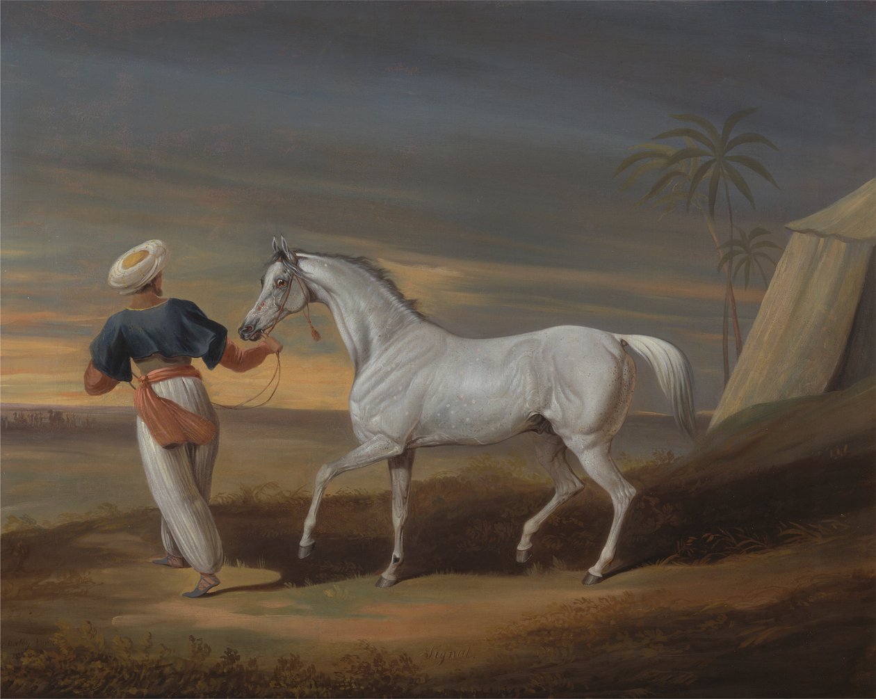 Señal, un árabe gris, con un novio en el desierto de David Dalby of York