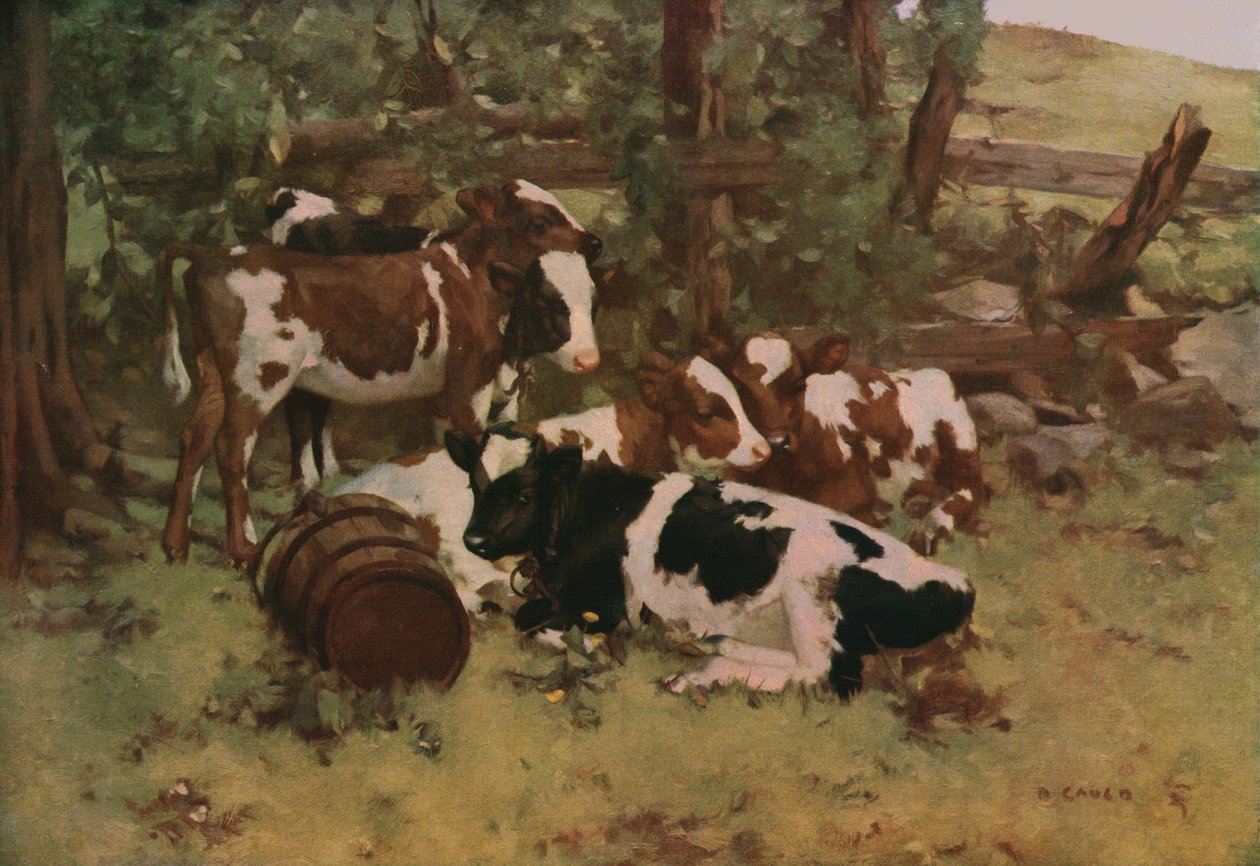 Contentamiento de David Gauld