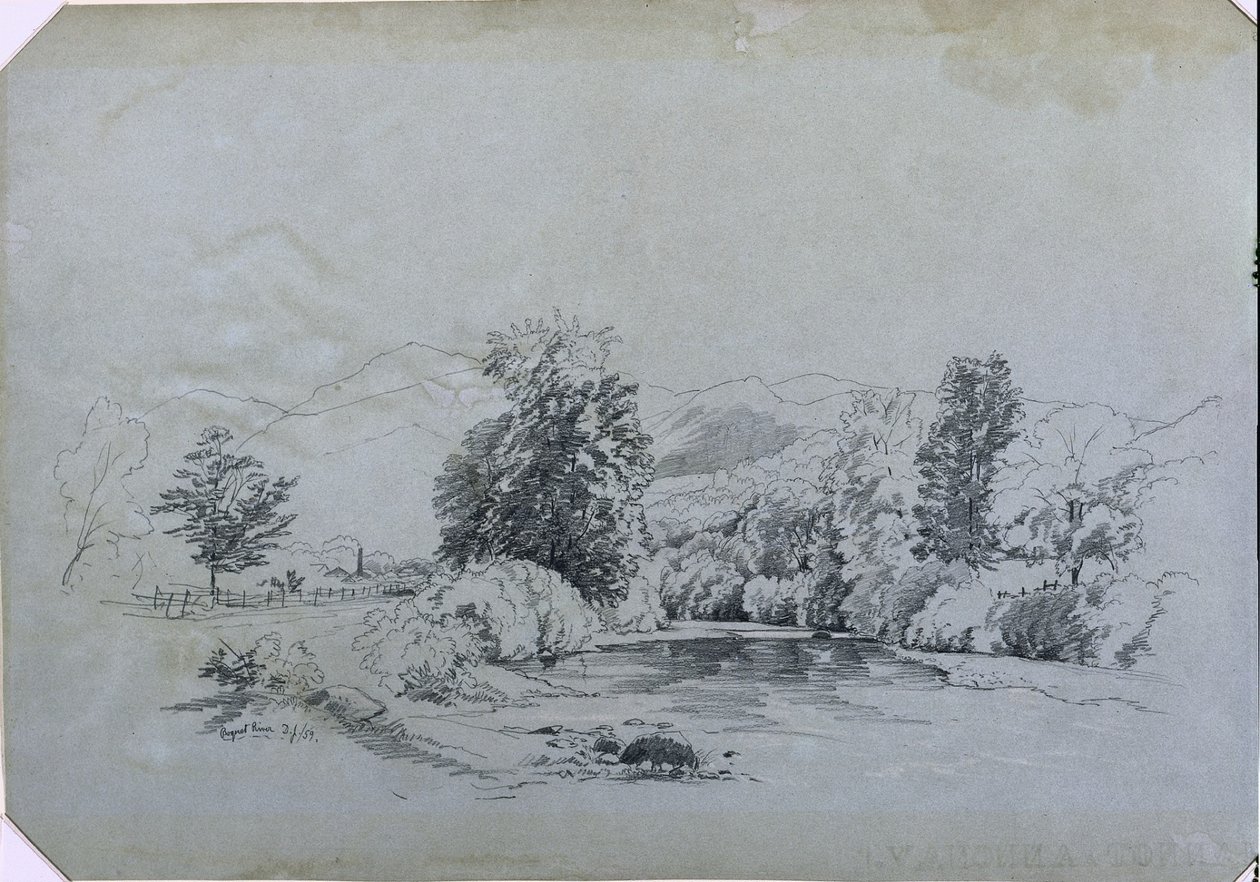 Río Boquet de David Johnson