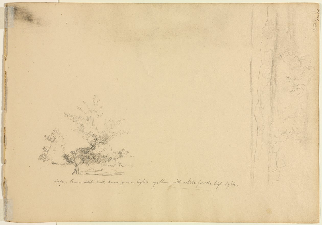 Estudios de paisaje y árbol, c. 1851 de David Johnson