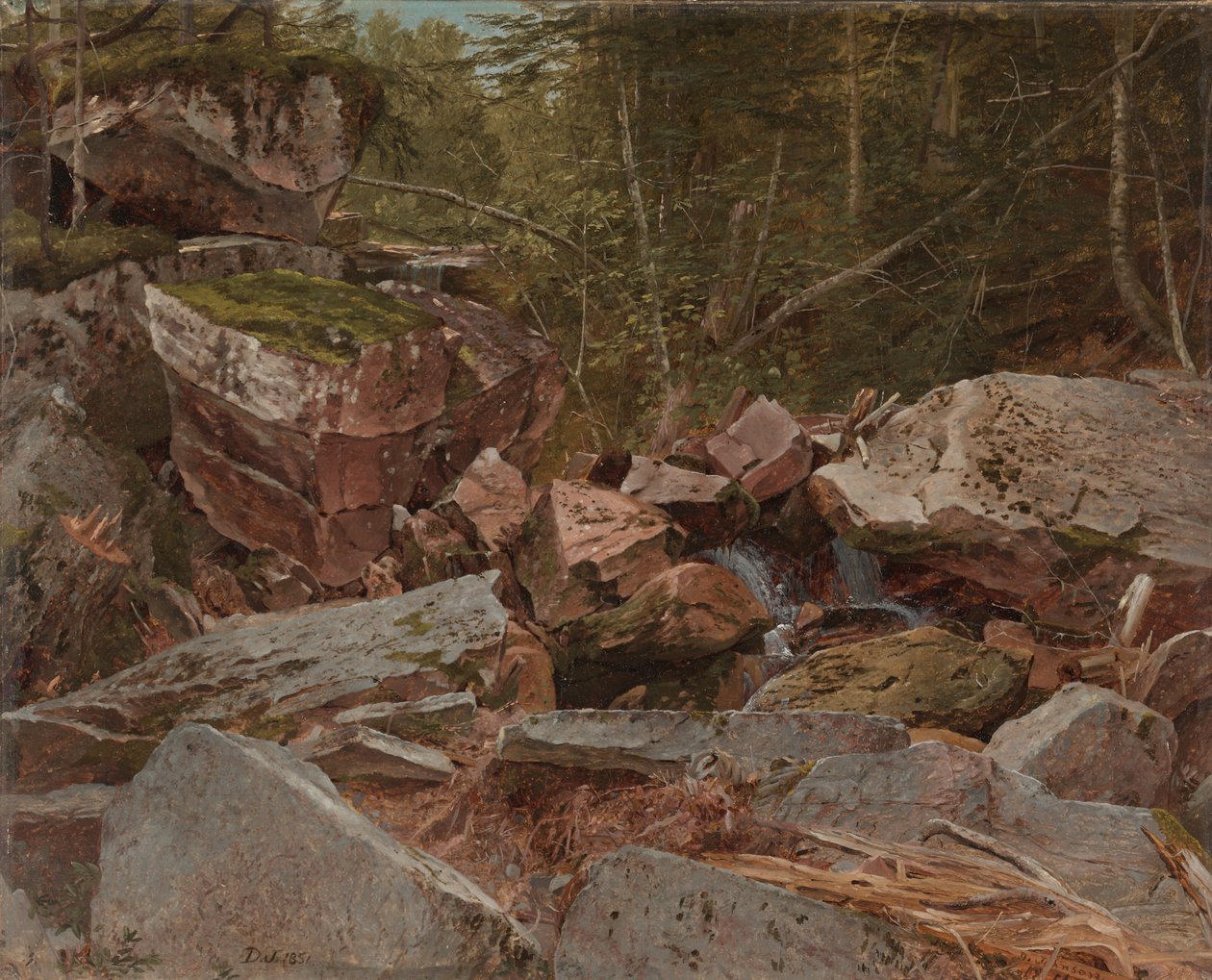 Estudio, North Conway, New Hampshire, 1851 de David Johnson