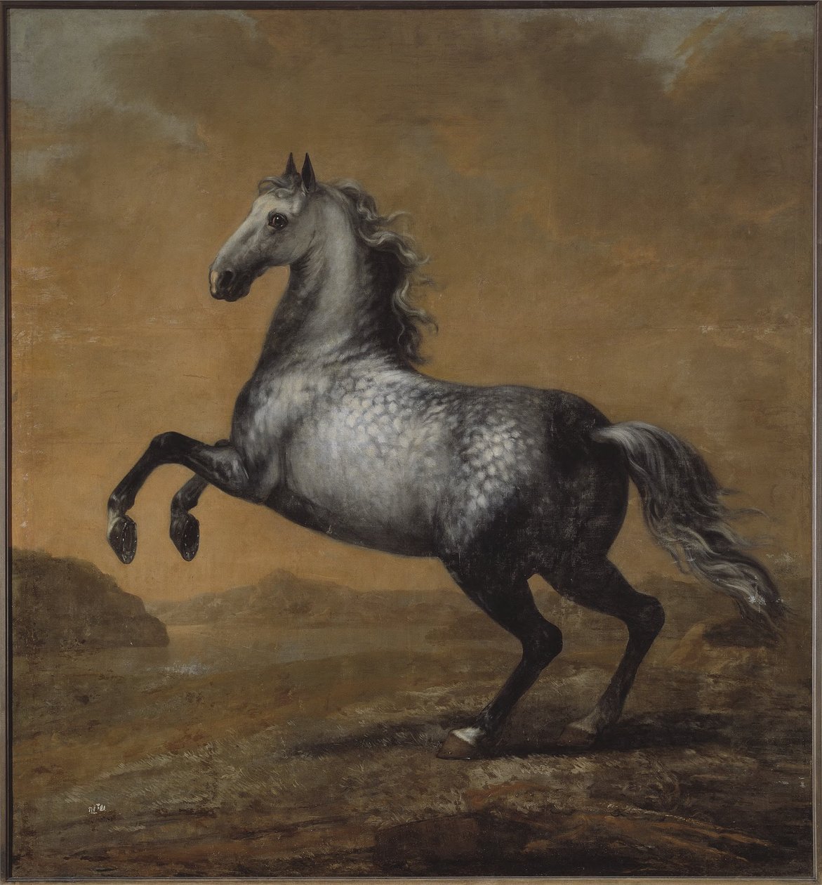 El caballo de batalla de Carlos XI, El Pequeño Inglés de David Klöcker Ehrenstrahl