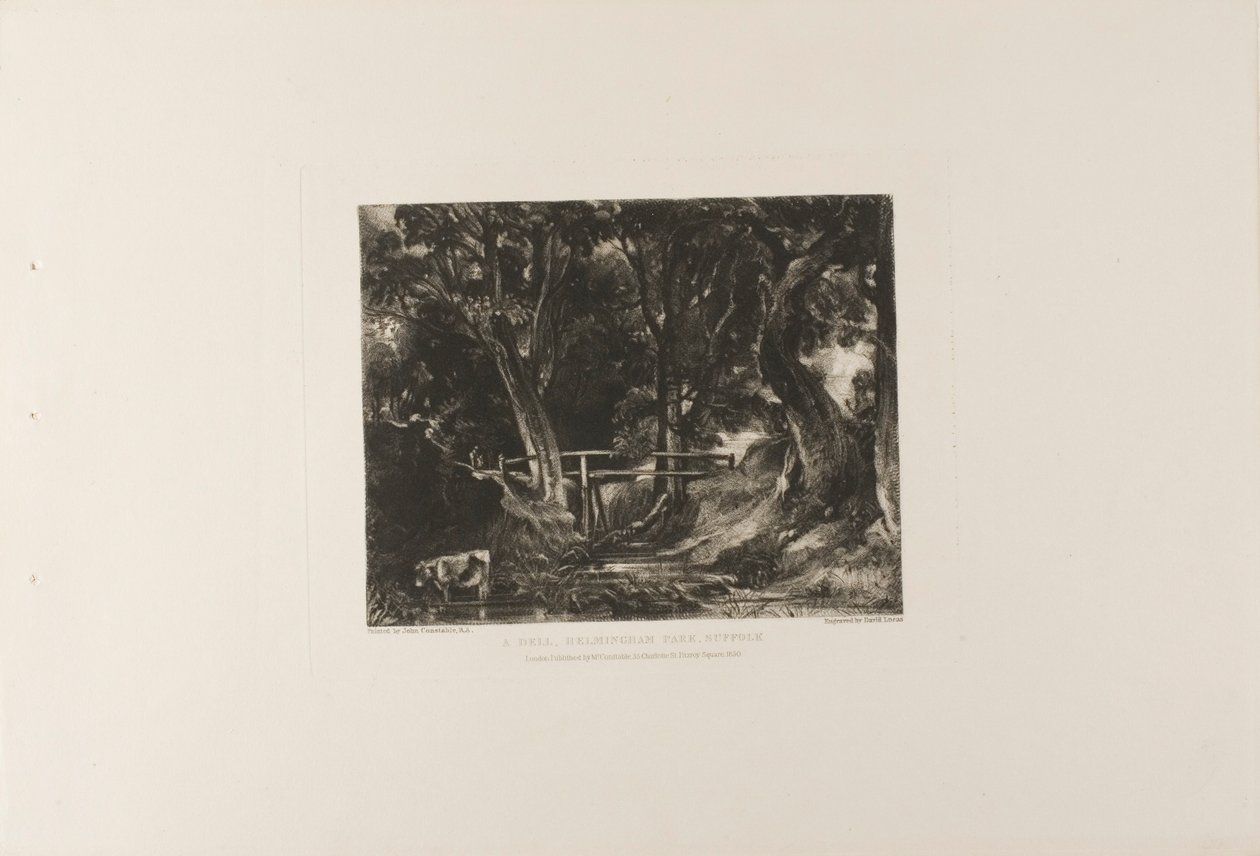 Un valle, Parque Helmingham, Suffolk de David Lucas