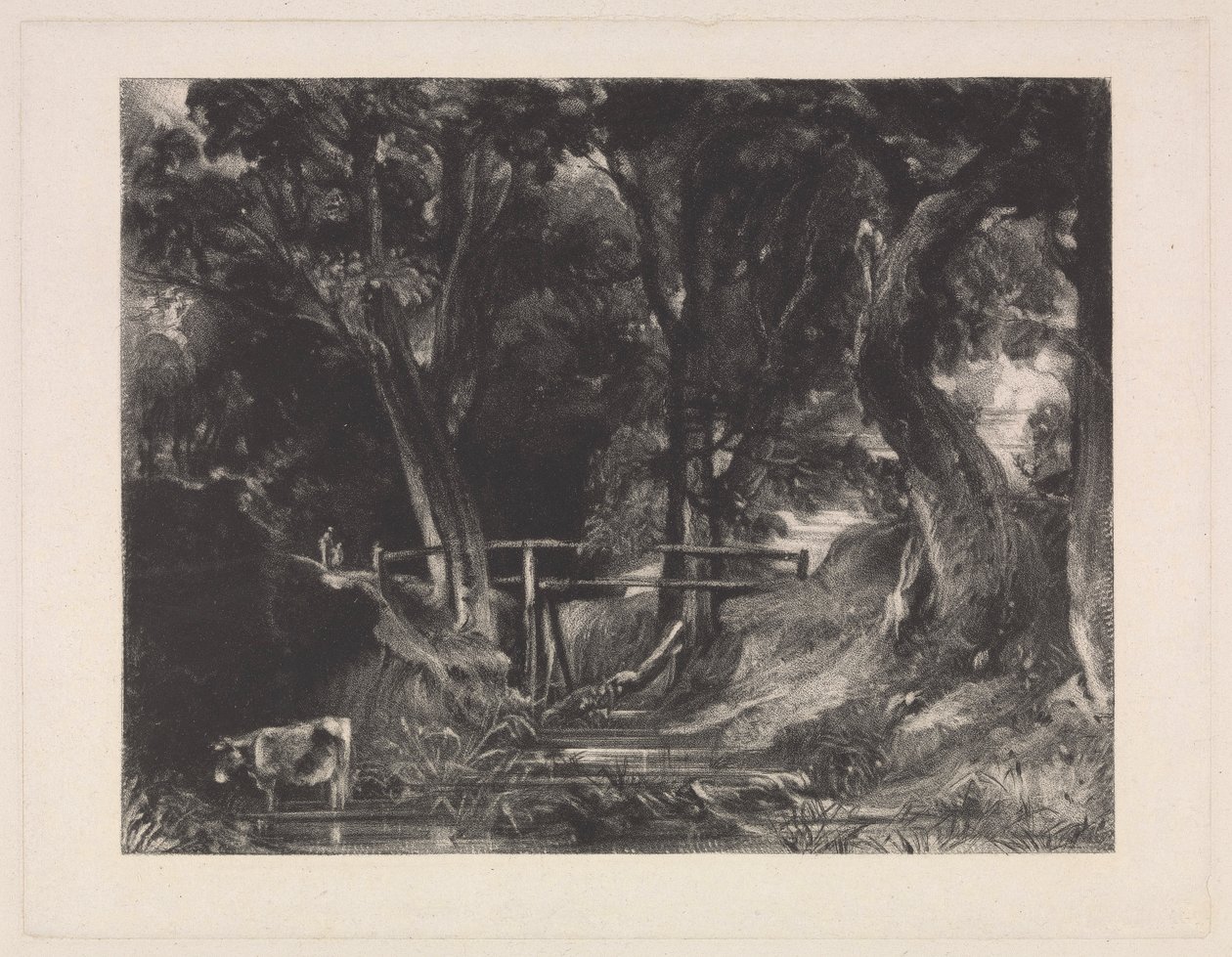 A Dell, Helmingham Park, Suffolk de David Lucas
