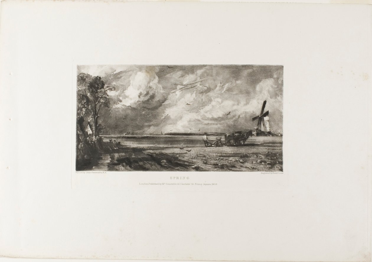 Primavera de David Lucas