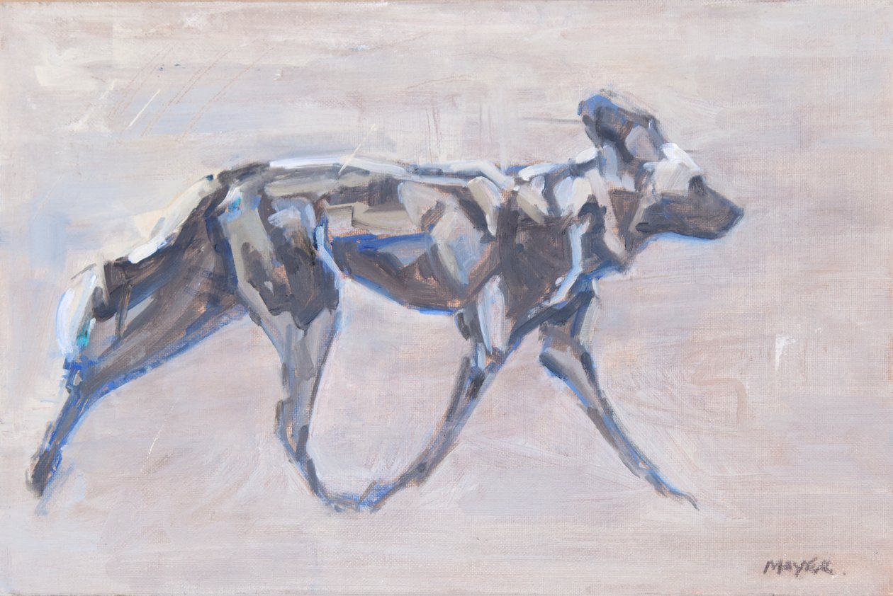 Perro pintado africano (perro salvaje), 2024 (óleo sobre lienzo) de David Mayer