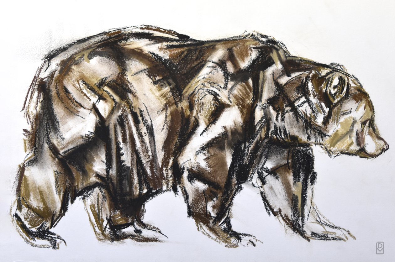 Oso pardo caminando, 2012 (Pastel/Conte sobre papel) de David Mayer