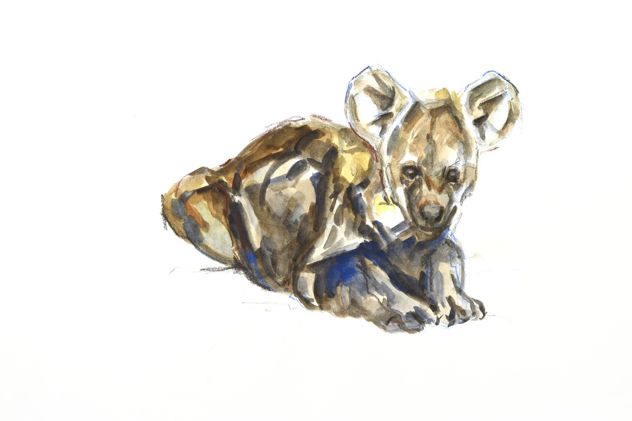 Cachorro de hiena, 2020 (acuarela, crayón y gouache sobre papel) de David Mayer