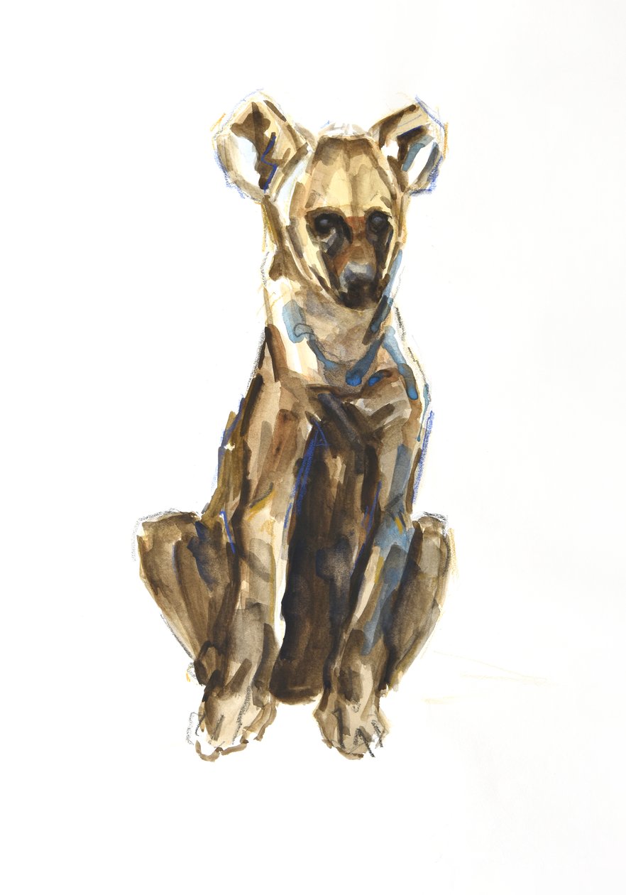 Cachorro de hiena, 2020 (acuarela, crayón y gouache sobre papel) de David Mayer
