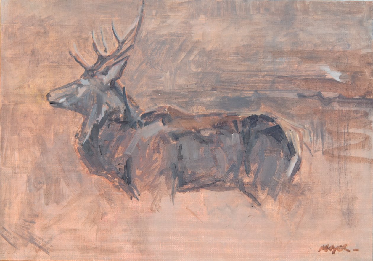 Ciervo colorado, 2023 (óleo sobre lienzo) de David Mayer