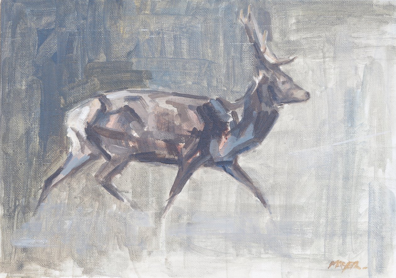 Ciervo rojo corriendo, 2023 (óleo sobre lienzo) de David Mayer