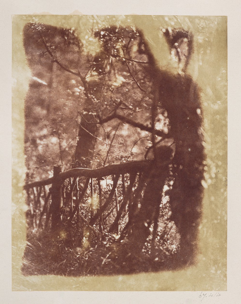 Cerca y Árboles en el Bosque de Colinton (impresión en papel salado de negativo de calotipo) de David Octavius Hill