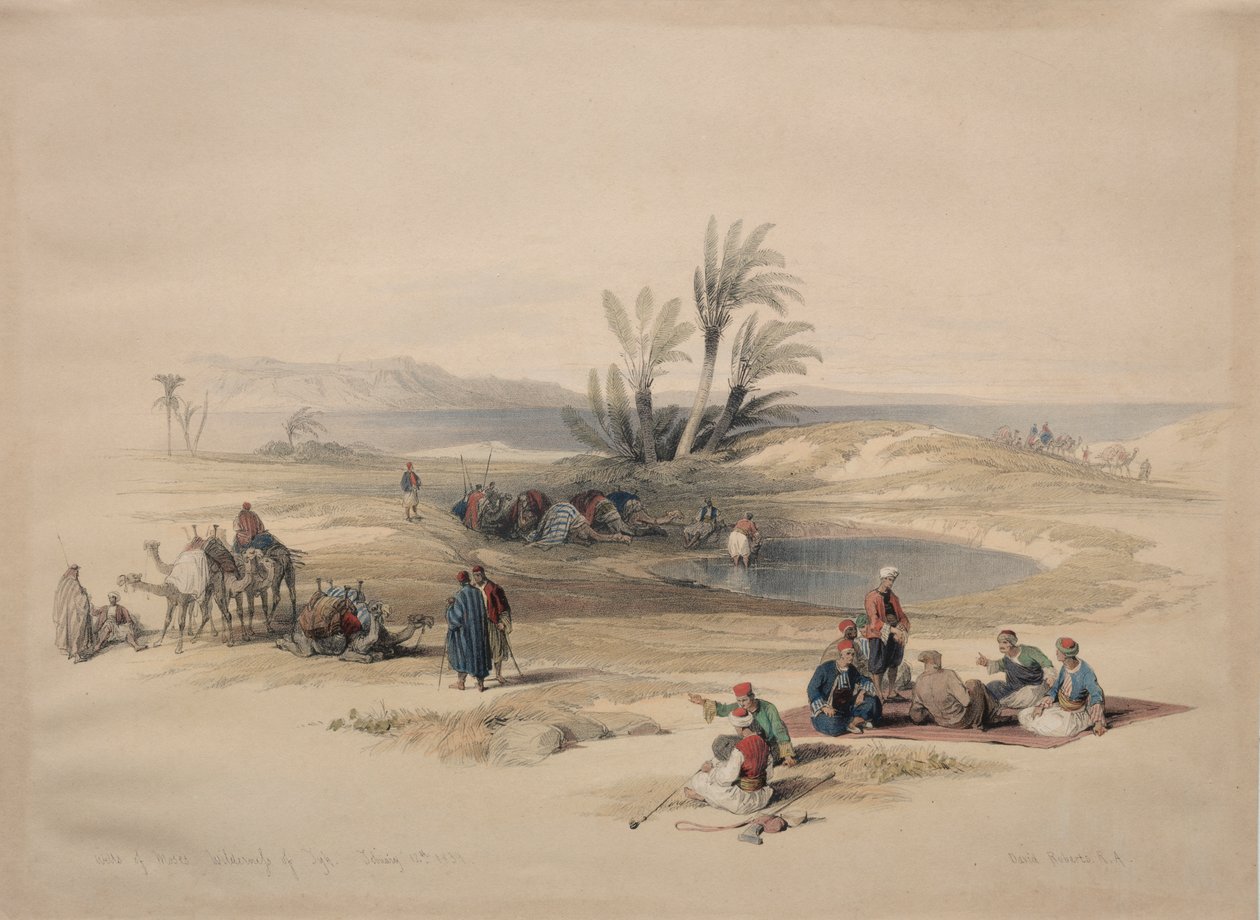 Pozos de Moisés, Desierto de Tyh de David Roberts