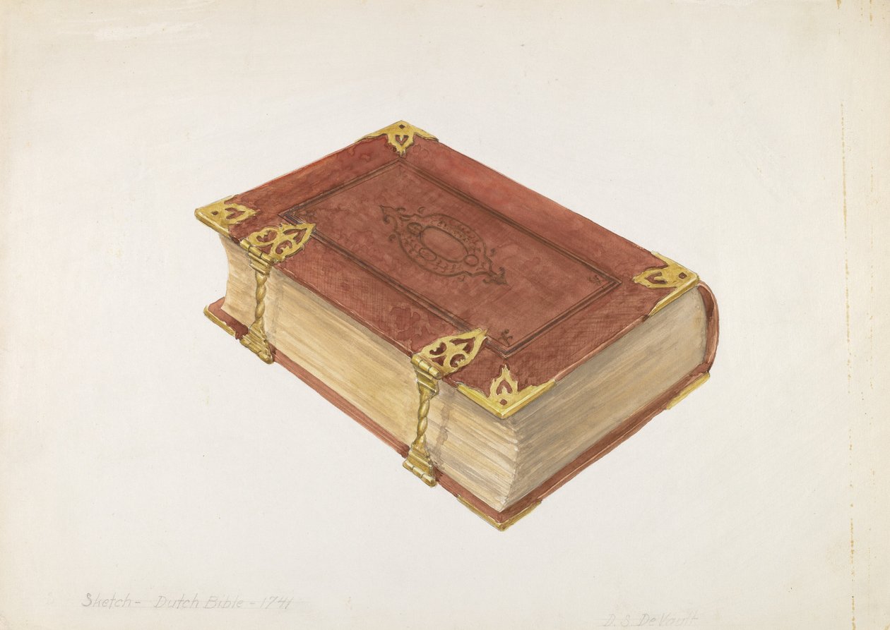 Biblia holandesa de David S. De Vault