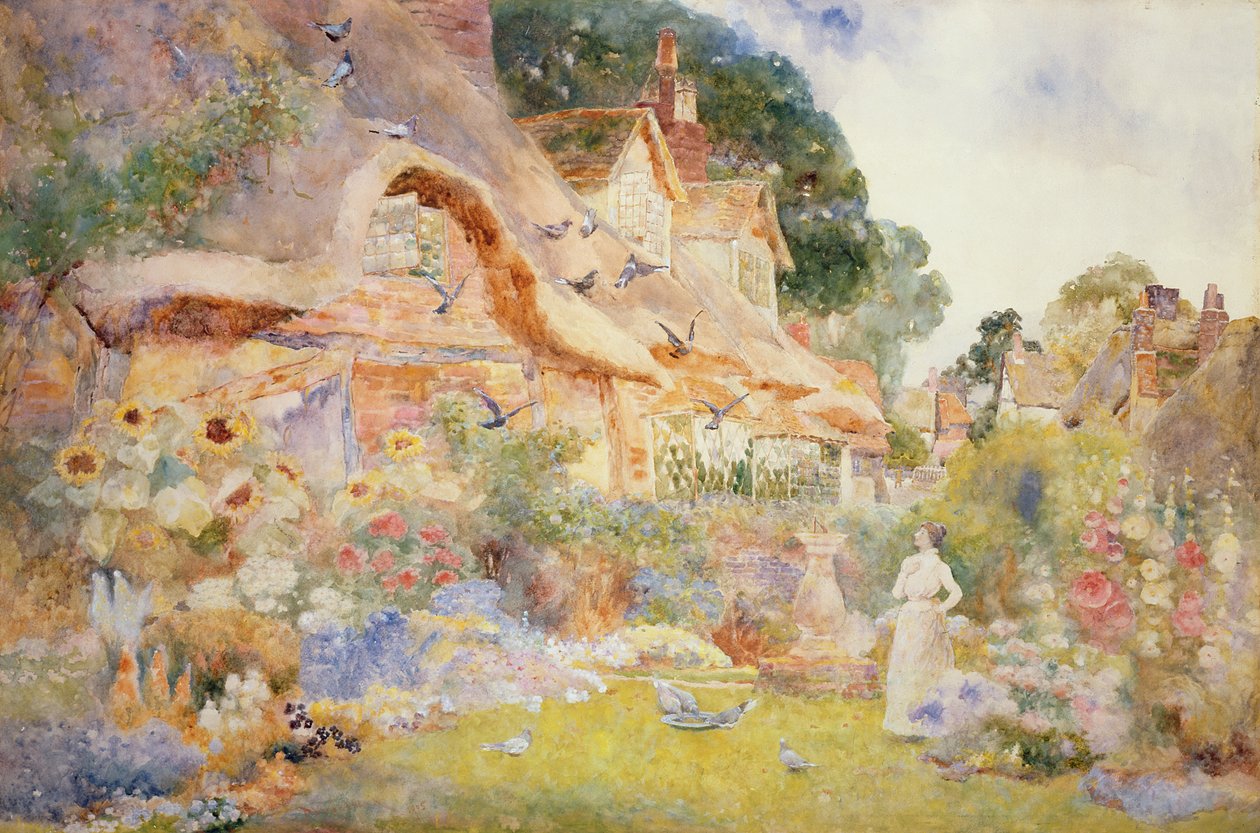 Observando las palomas de David Woodlock