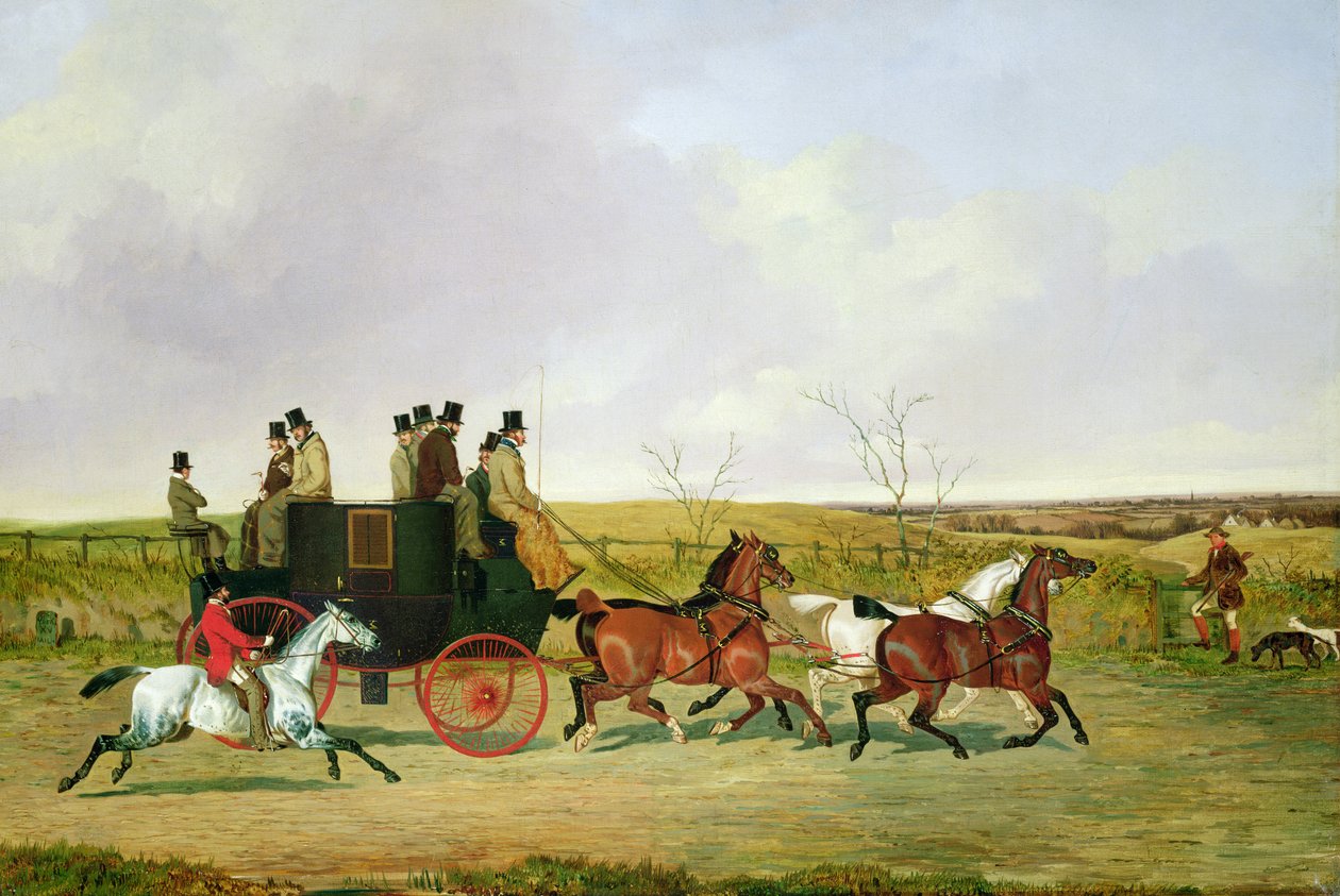 Caballo y carruaje de David of York Dalby