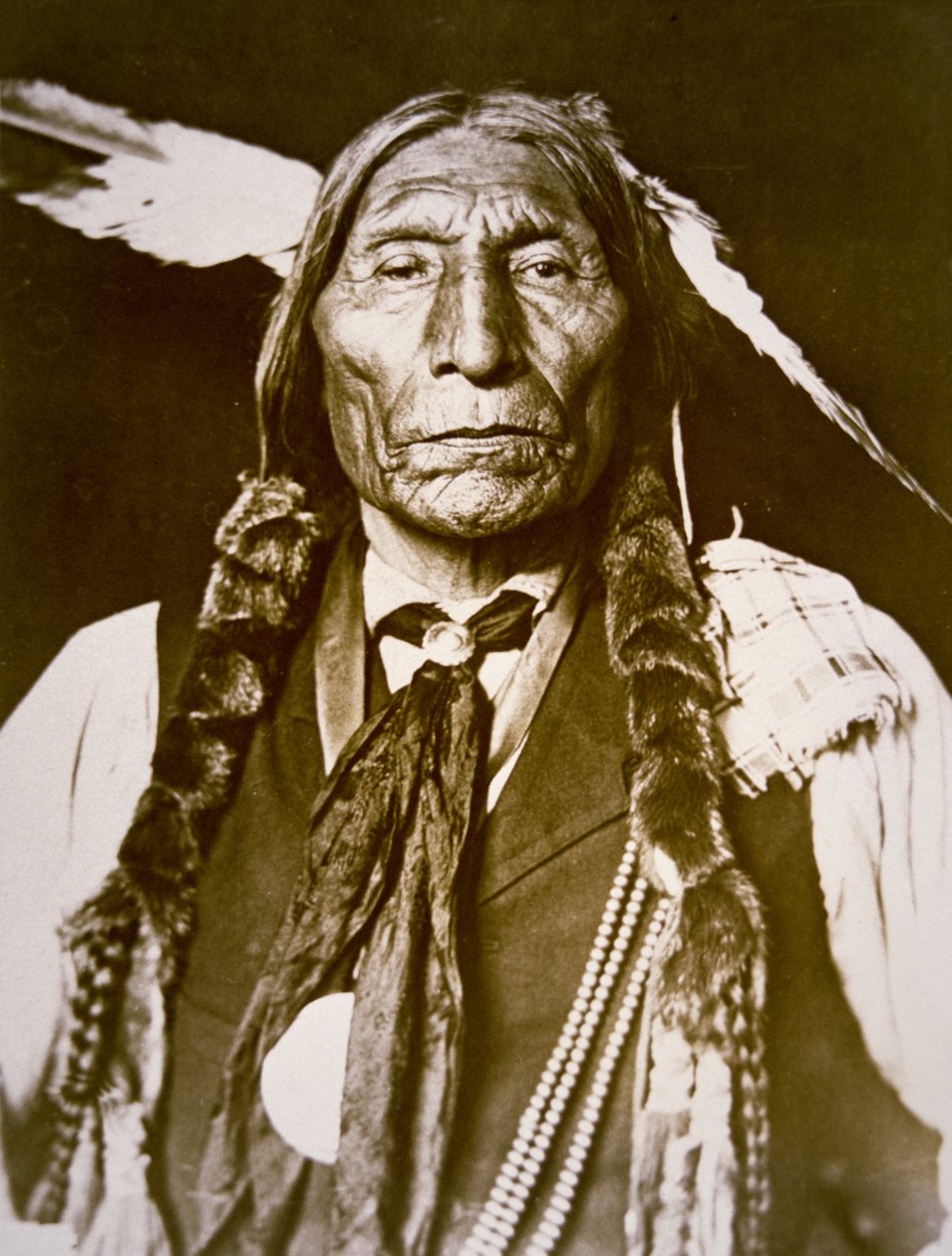 Wolf Robe (n. 1841) 1909 (foto en blanco y negro) de DeLancey W. Gill