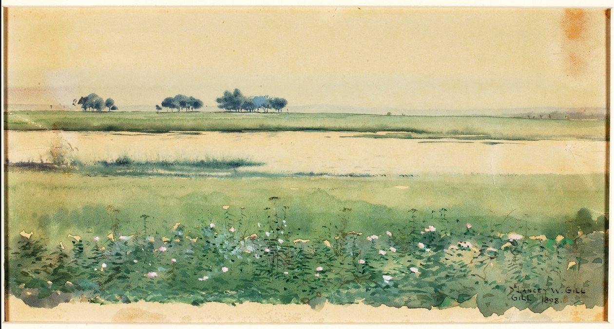 (Paisaje con marismas) de De Lancey Gill