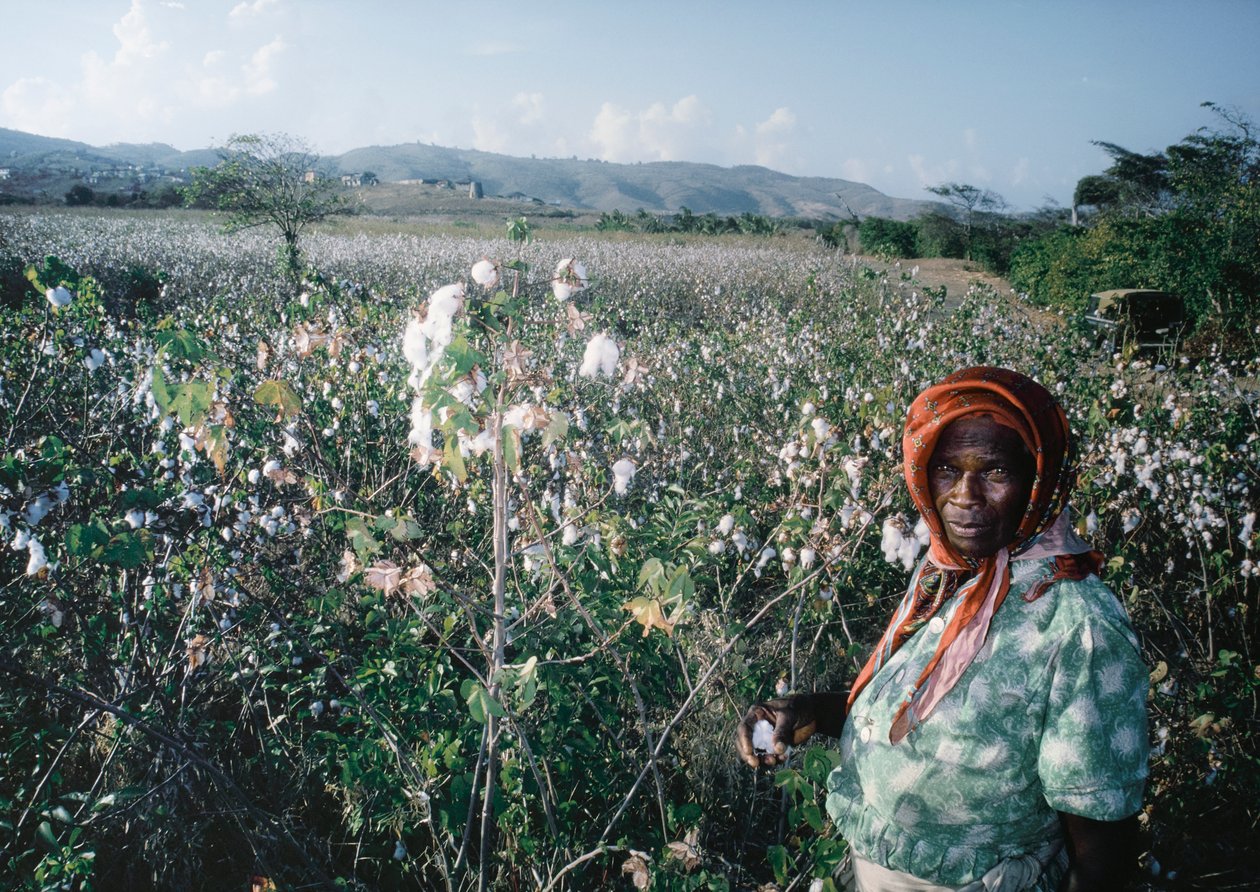 Mujer en el campo de Sea Island, Granadinas de Dean Conger