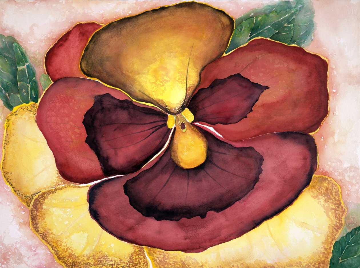 Pansey, 2007 (acuarela) de Deborah Eve Alastra