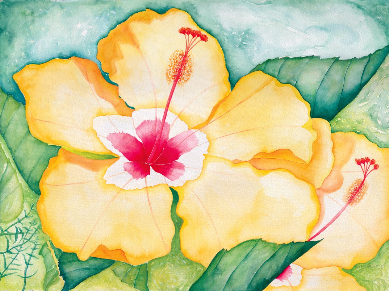 Hibisco amarillo, 2006 (acuarela) de Deborah Eve Alastra