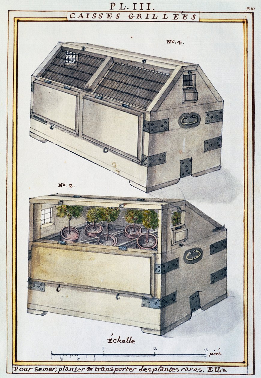 Cajas de madera para transportar plantas raras en barcos, de Florindie ou Historie physico-economique des Vegetaux de la Torride de Delahaye Delahaye