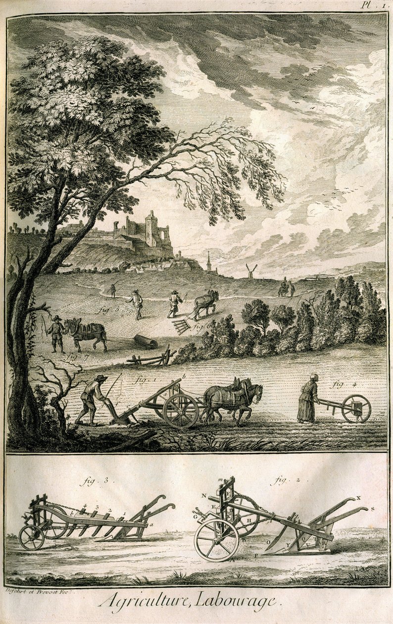 Trabajo de campo - Agricultura, siembra, arado. Varios modelos de rodillos y arados: Placa de un volumen de ilustraciones de la Enciclopedia de Diderot, edición original 1762 de Denis Diderot