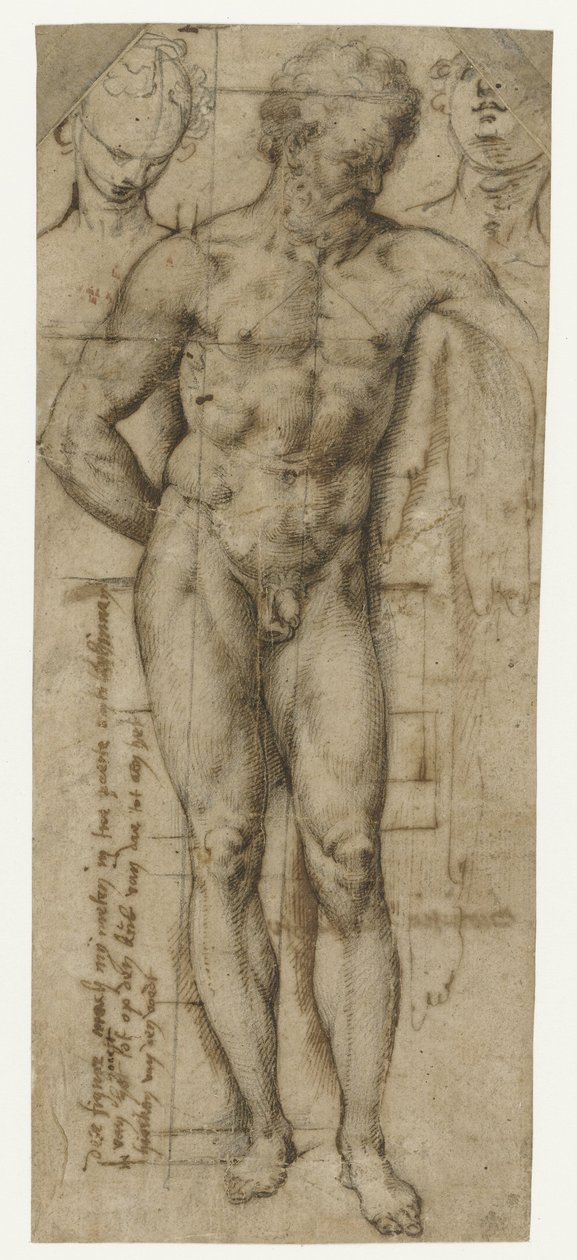 Estudio de un hombre desnudo (¿Hércules?) y dos cabezas de mujer de Denys Calvaert
