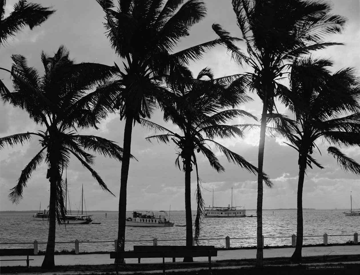 Atardecer, Bahía de Biscayne, Miami, Florida, c.1910-20 de Detroit Publishing Co.