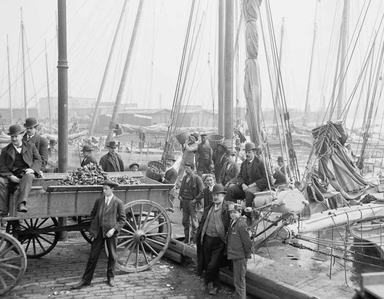 Descargando lanchas ostreras, Baltimore, Maryland, 1905 de Detroit Publishing Co.