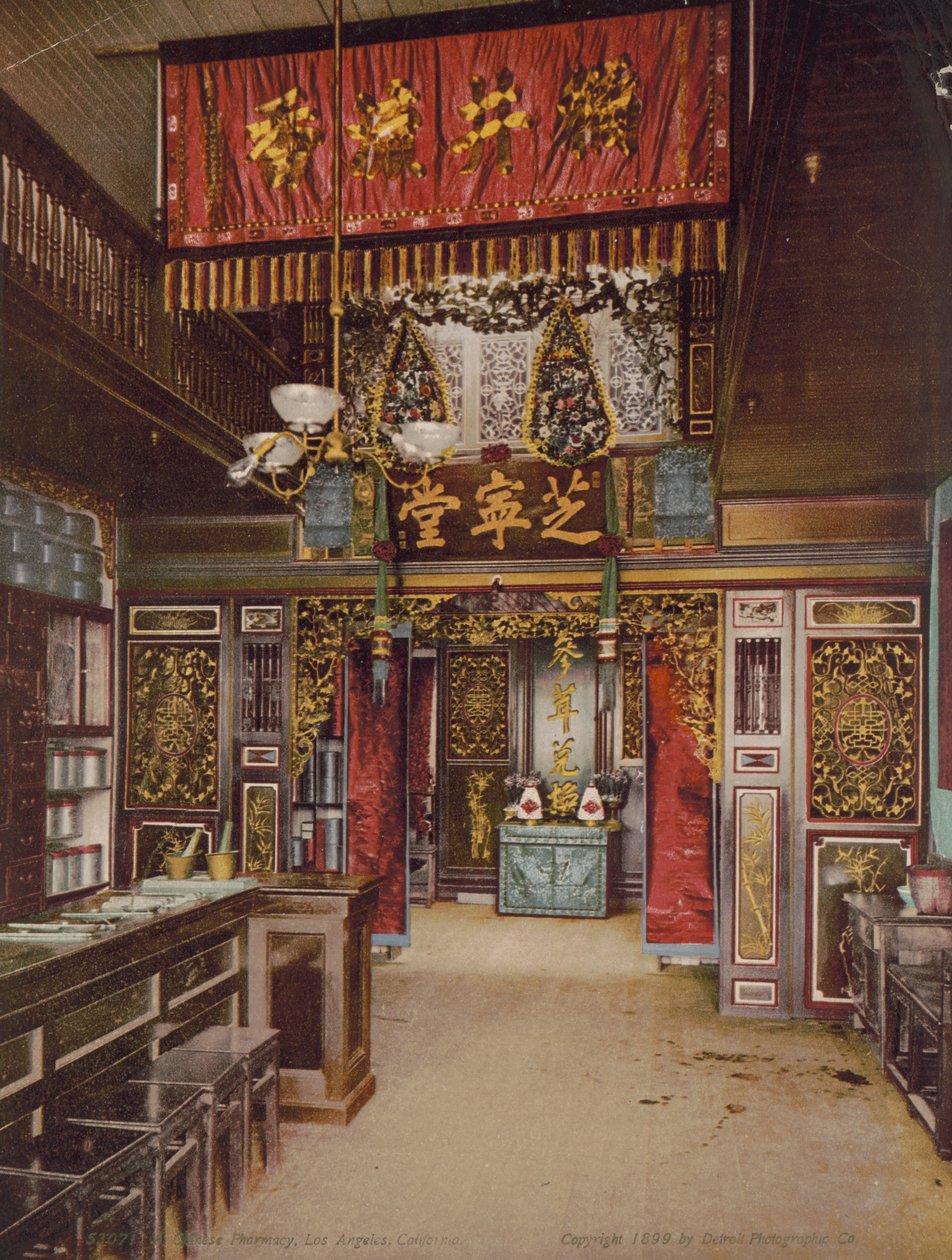 Farmacia china, Los Ángeles, California de Detroit Photographic Co.