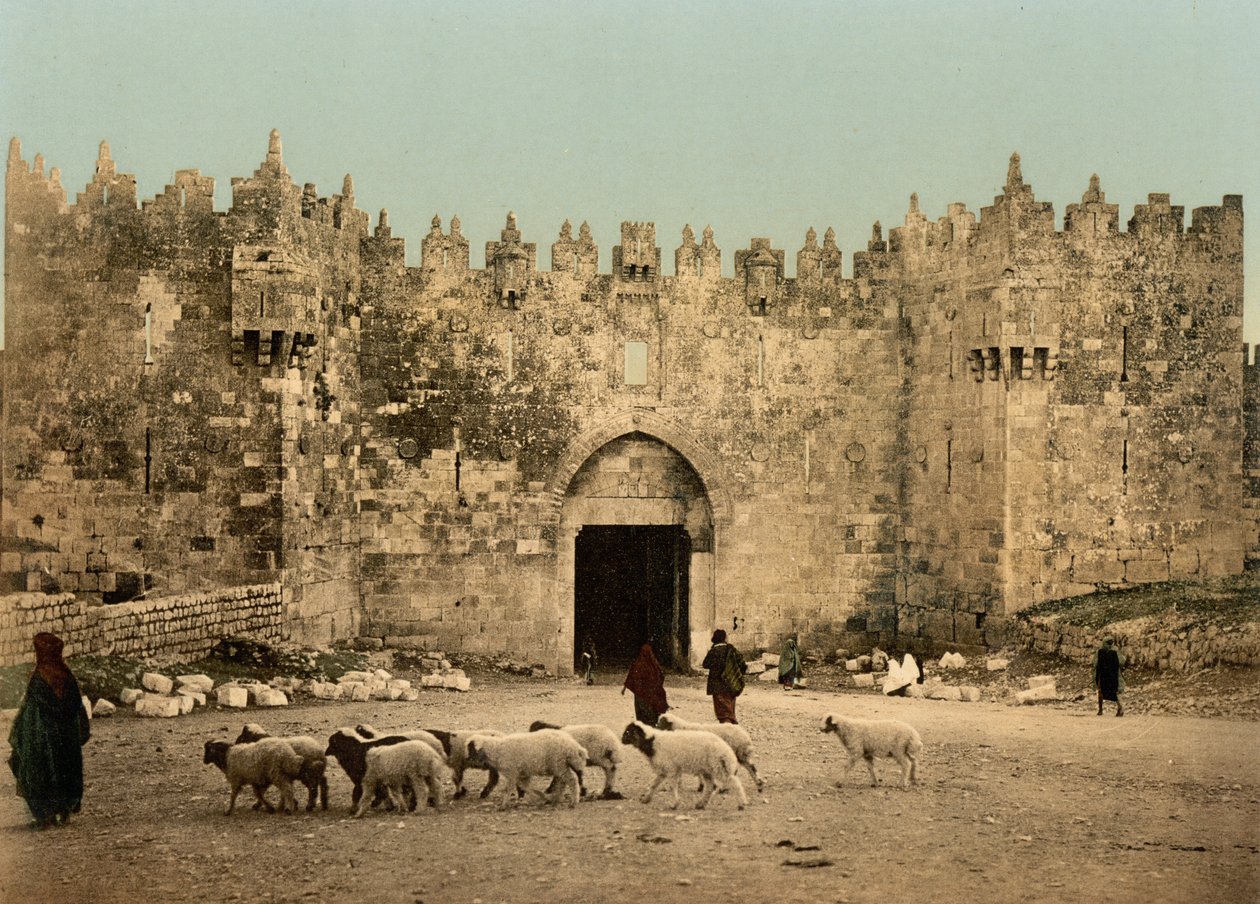 La Puerta de Damasco, Jerusalén, Tierra Santa, c.1890-c.1900 (impresión fotocromática) de Detroit Photographic Co.