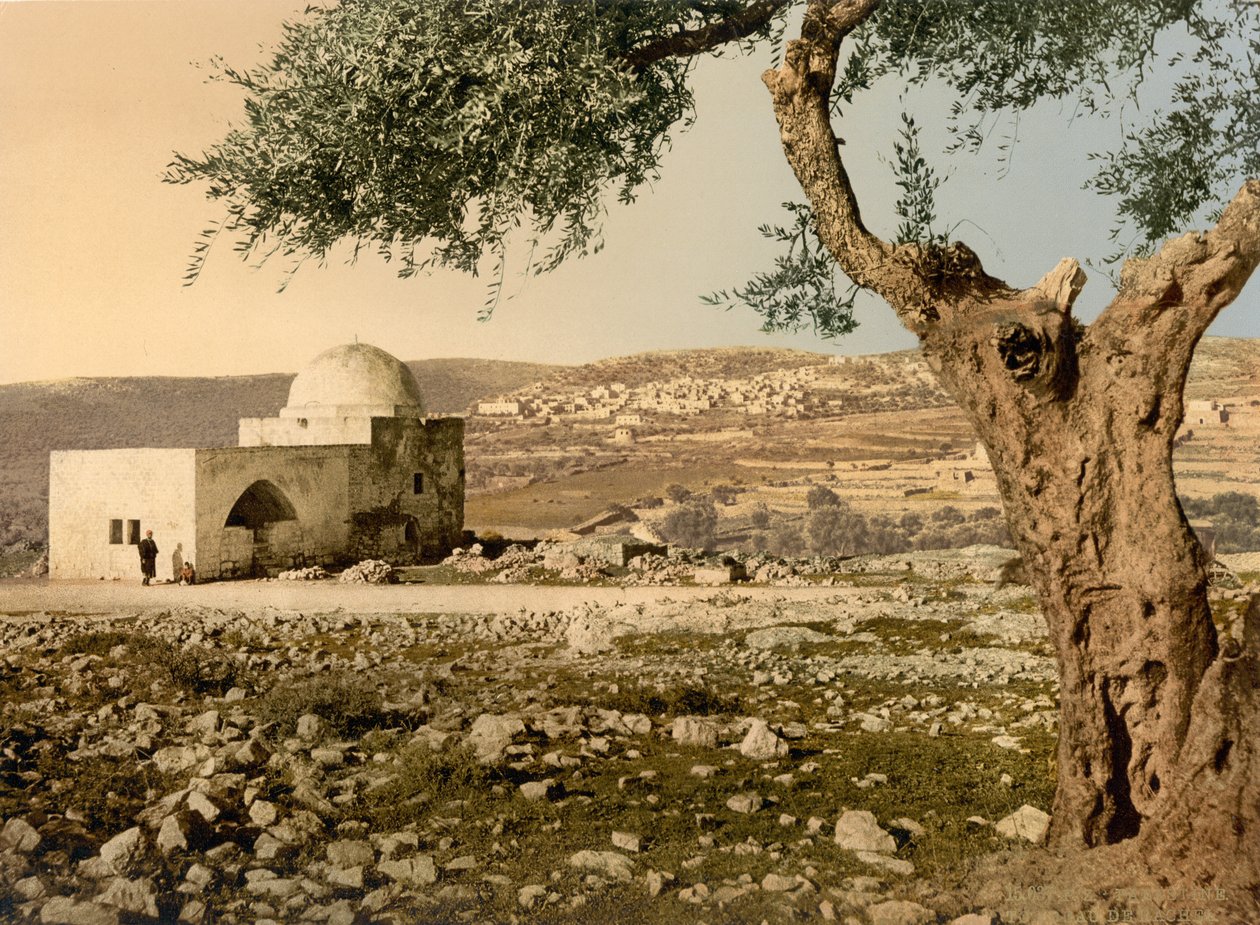 Tumba de Raquel, Jerusalén, Tierra Santa, c.1890-c.1900 (impresión fotocromática) de Detroit Photographic Co.