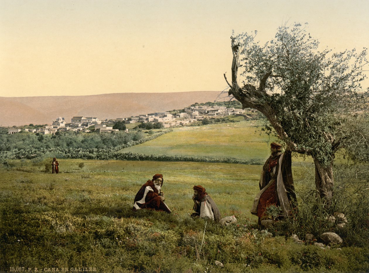 Vista general, Caná de Galilea, Tierra Santa, c.1890-1900 (impresión fotocroma) de Detroit Publishing Co.