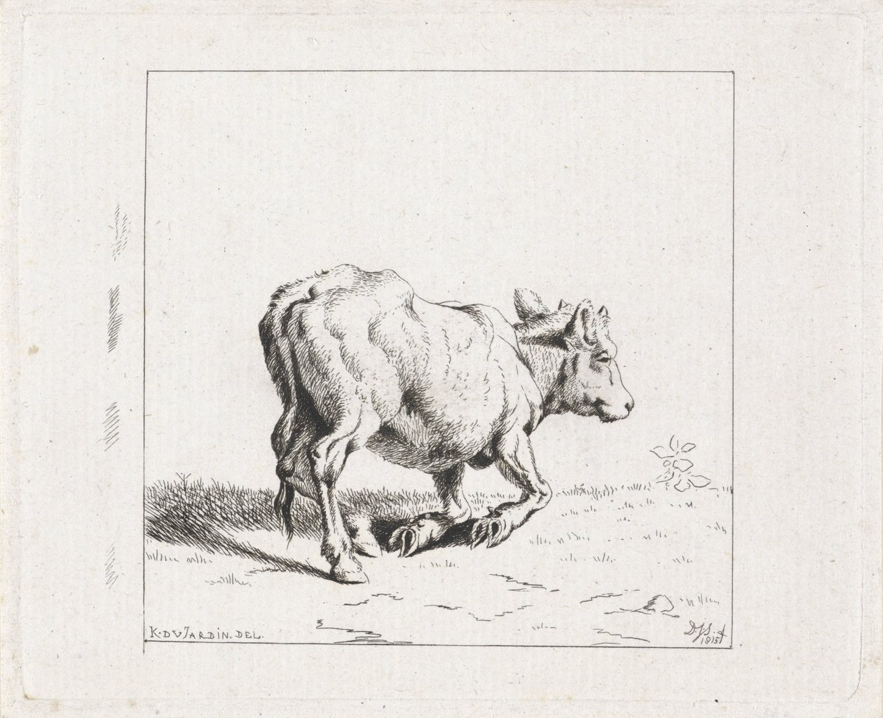 Becerro en ascenso de Diederik Jan Singendonck