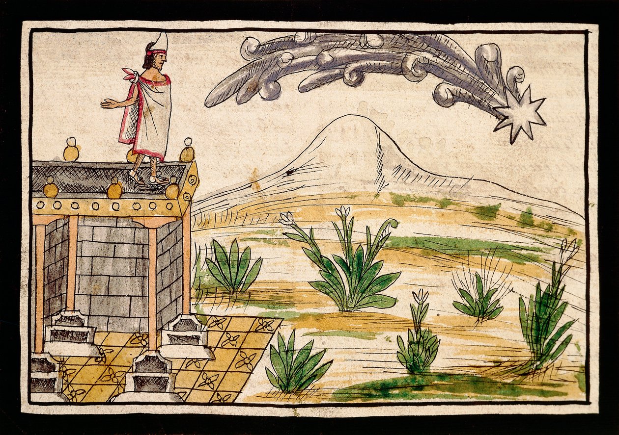 Moctezuma observando el cometa, miniatura de la Historia de las Indias de Diego Durán (1537-1588) de Diego Duran